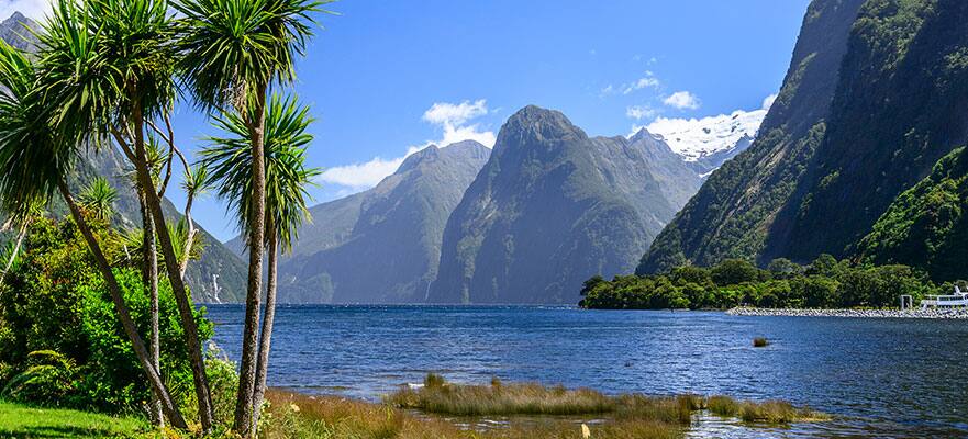 Toma sol en Milford Sound.