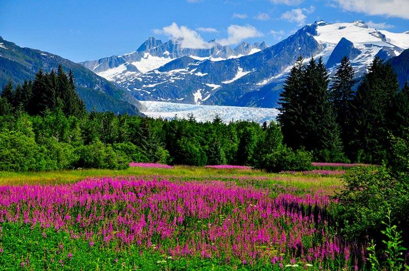 See Mendenhall Glacier on a Cruise to Alaska See Mendenhall Glacier on a Cruise to Alaska with Norwegian