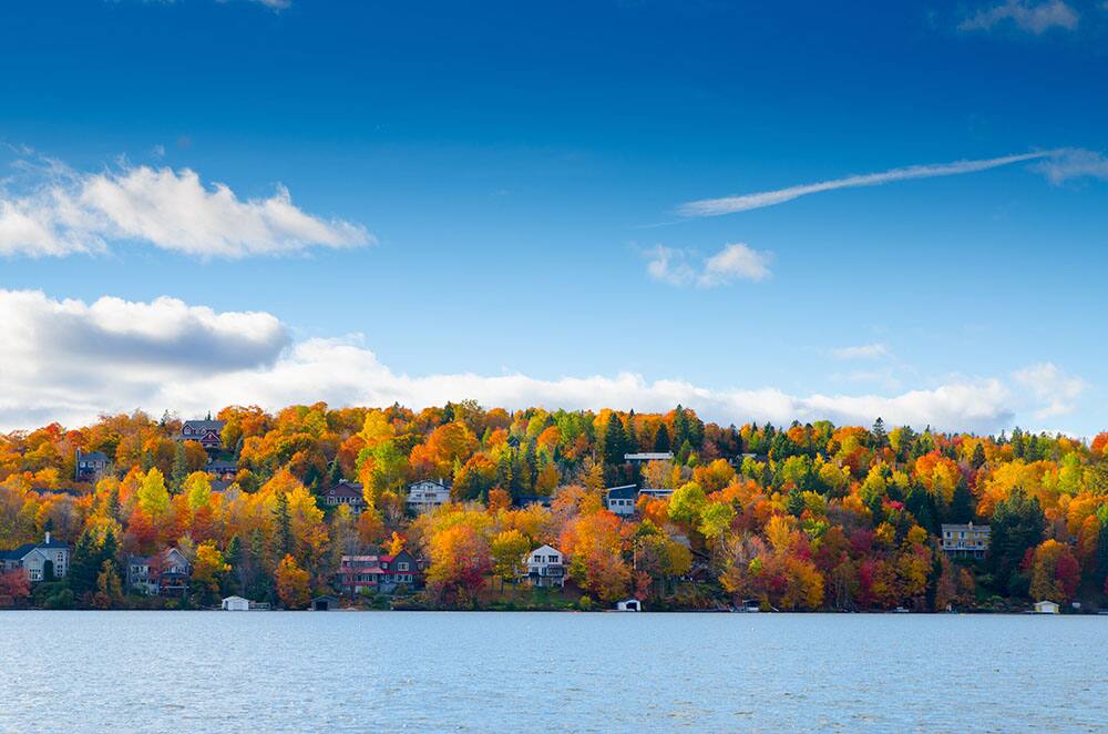 Cruise to Canada This Fall with Norwegian Cruise to Canada This Fall with Norwegian