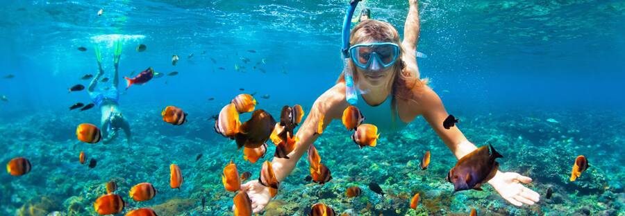 Torneo de tragamonedas Fall Escape