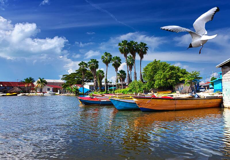 Jamaica Jamaica