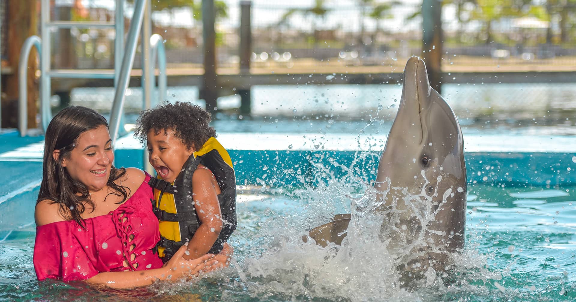 Dolphin Encounter & Ocean World Marine Park