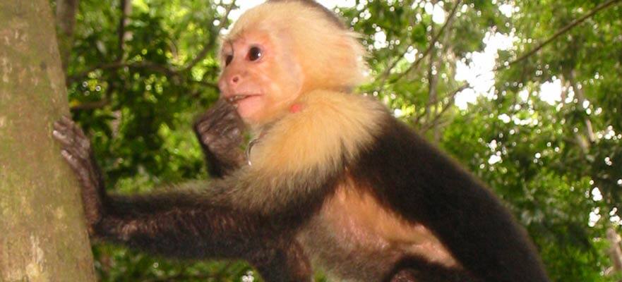 /sites/default/files/RTB_36_GumbalimbaPark_0.jpg