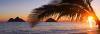 Book Hawaii cruises, excursions and cruise vacations to Hawaii.