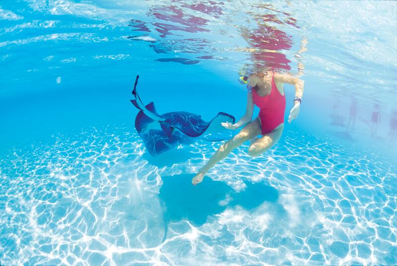 Swim with Stingrays in Grand Cayman Swim with Stingrays in Grand Cayman