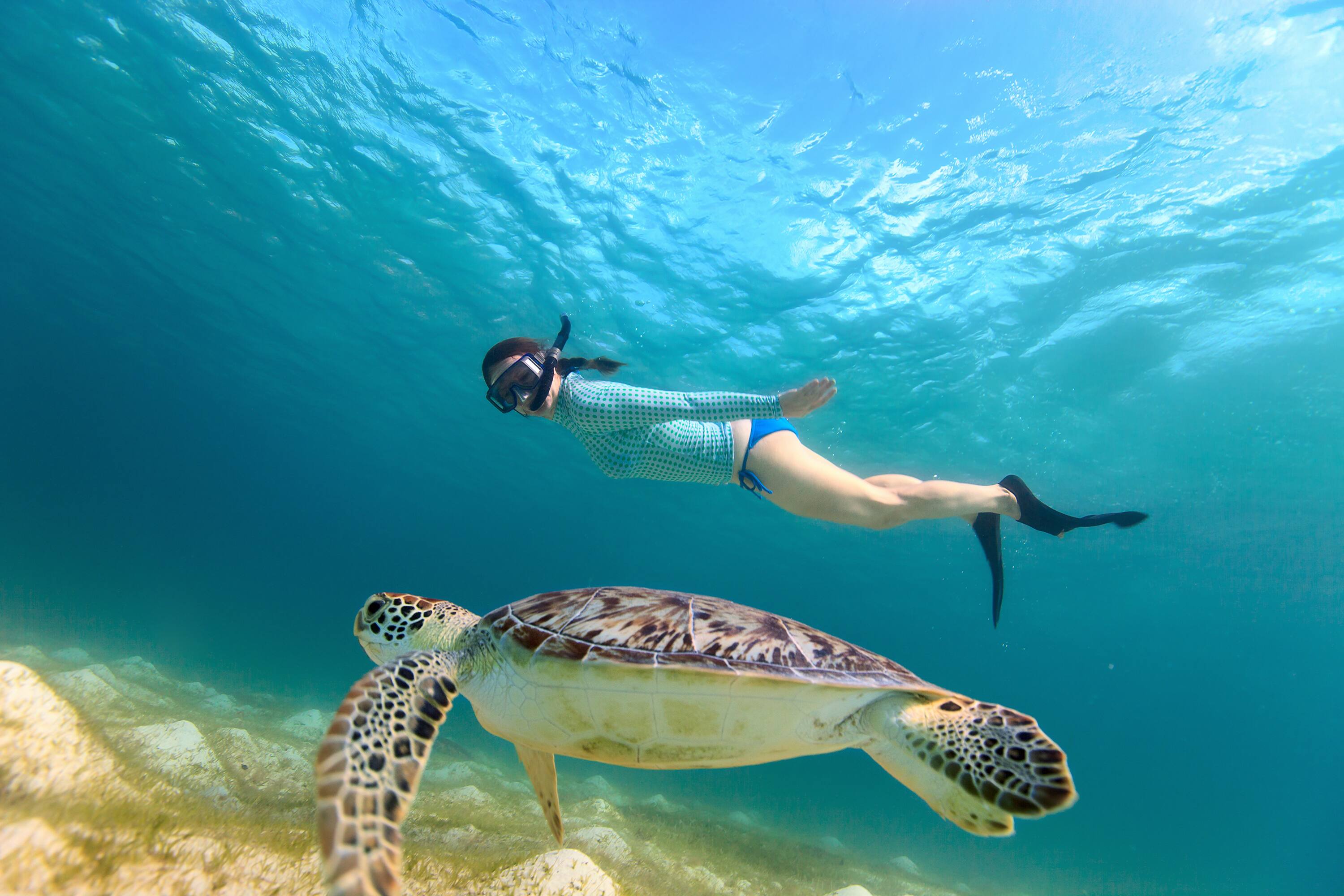 Buceo de superficie Buceo de superficie