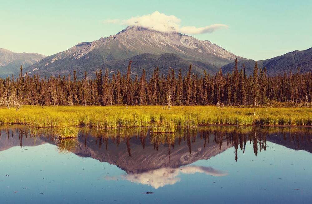 Parque Nacional Denali Norwegian Bliss Cruise to Alaska - Denali National Park