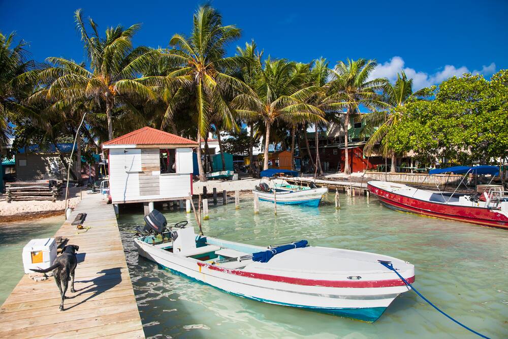 Belice Belice