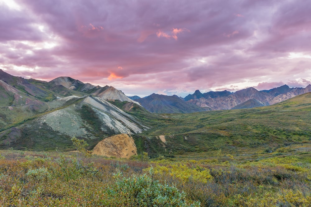 Denali National Park, Alaska Denali National Park, Alaska