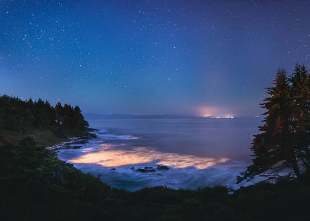 Bioluminescence in the Ocean Bioluminescence in the Ocean