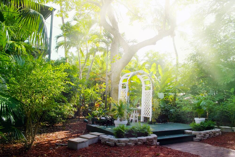 Garden Area of Ernest Hemingway's Home Visit the Ernest Hemingway Home on a Cruise to Key West